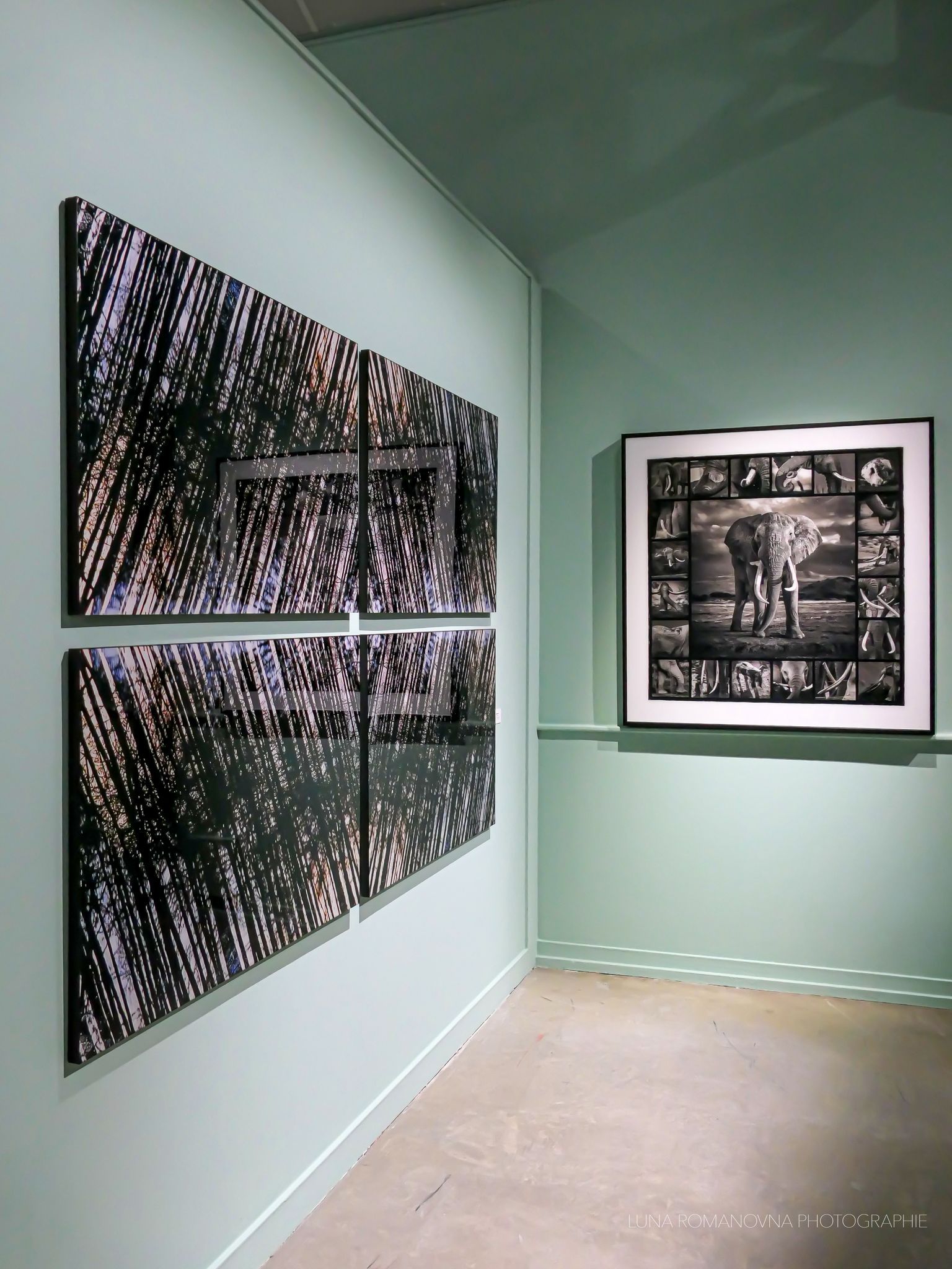 Inspirations - Expressions Abstraites - Hommage au photographe Olivier Dassault