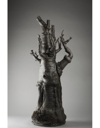 L'arbre dit Baobab,  (pat C1)